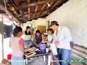 2 2025 06 19 Desarrollo de ECA alimentación artificial de colmenas