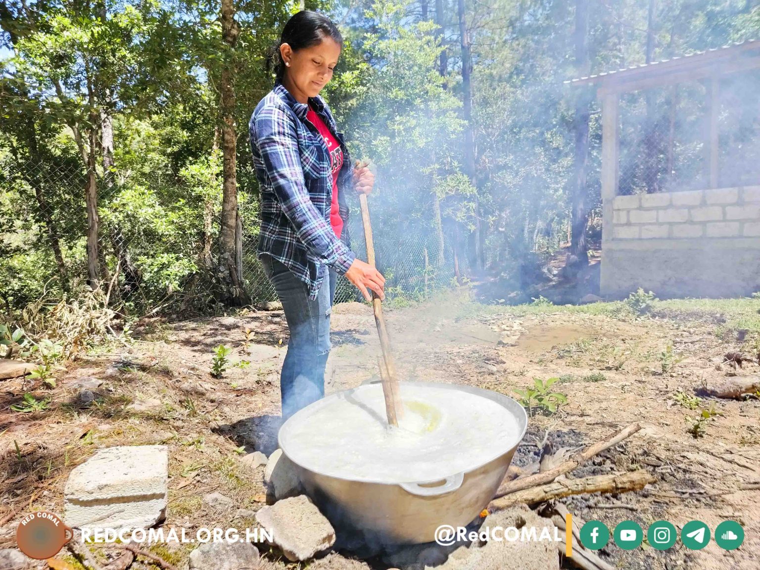 #LaPaz 🟢🟡🌱 Familias campesinas e indígenas elaboran insumos ...