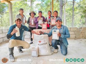 26 2025 07 21 Insumos Agroecológicos, Planta Verde